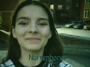 Noreenborer