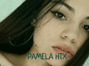 PAMELA_HTX