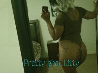 Pretty_phat_kitty