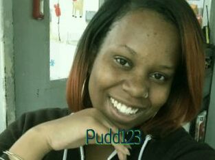 Pudd123