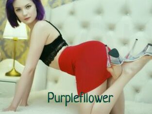 Purplefllower