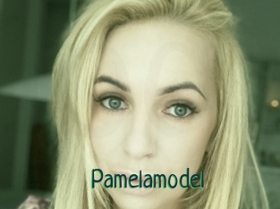 Pamelamodel