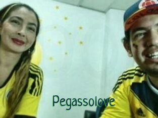 Pegasso_love