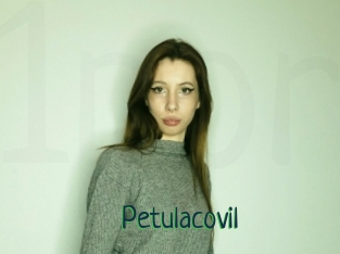 Petulacovil