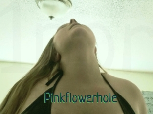 Pinkflowerhole