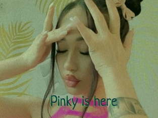 Pinky_is_here