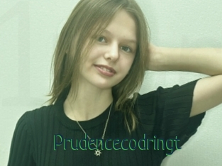 Prudencecodringt