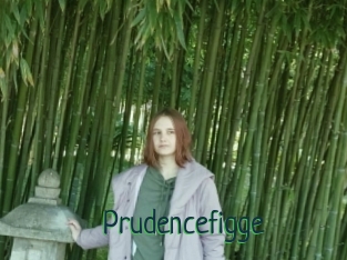 Prudencefigge