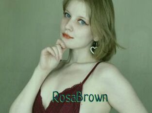 RosaBrown