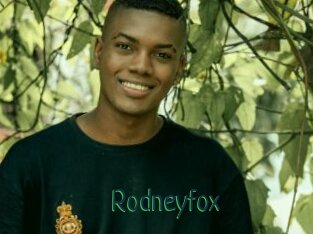 Rodneyfox