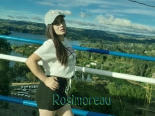 Rosimoreau