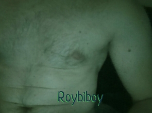 Roybiboy