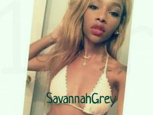 Savannah_Grey