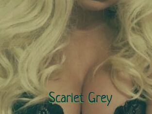 Scarlet_Grey