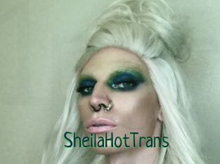 SheilaHotTrans