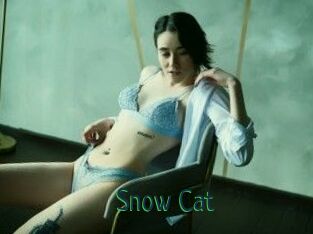 Snow_Cat
