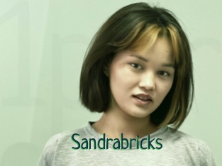 Sandrabricks