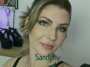 Sandyfly