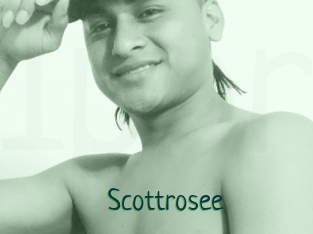 Scottrosee