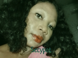 Secypot