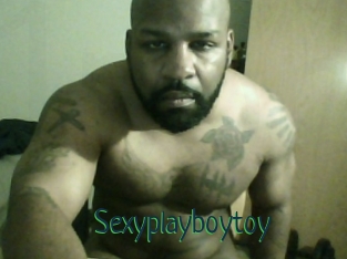 Sexyplayboytoy