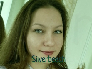 Silverbeech