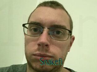 Snakefl