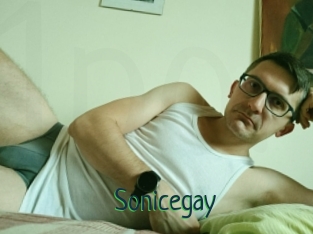 Sonicegay