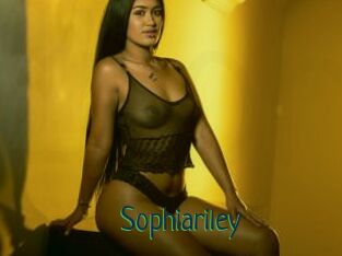 Sophiariley