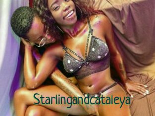 Starlingandcataleya