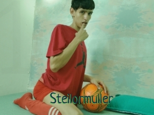 Steilormuller