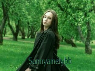 Sunnyamelybb