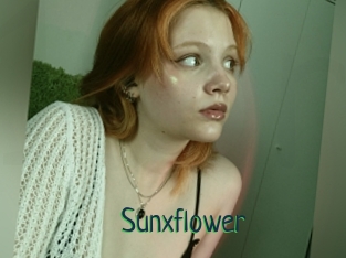 Sunxflower