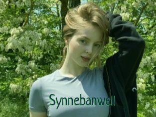 Synnebanwell