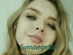 Synnovegledhill