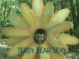 TEDDY_BEAR_SEXY