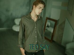 TEO_SKY