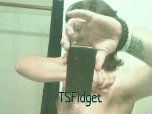 TSFidget