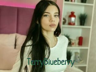 TerryBlueberry