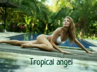 Tropical_angel