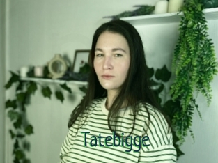 Tatebigge