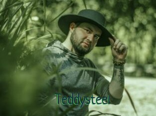 Teddysteel