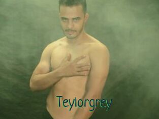 Teylorgrey