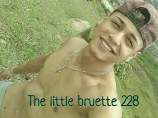 The_little_bruette_228