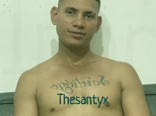 Thesantyx