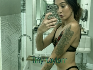 Tiny_taylorr