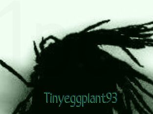 Tinyeggplant93