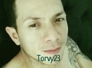 Torvy23