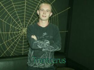 Trantcerus