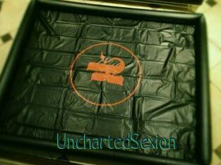 UnchartedSexion